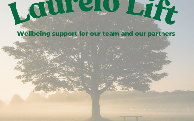 Introducing “Laurelo Lift” – Wellness Sessions for Our Team