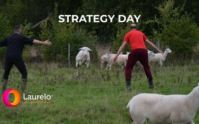 Reflecting, Planning, and Sheep Herding – Laurelo Strategy Day