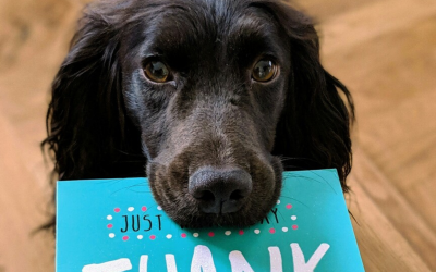 A Family Guided at the Moment They Needed It Most