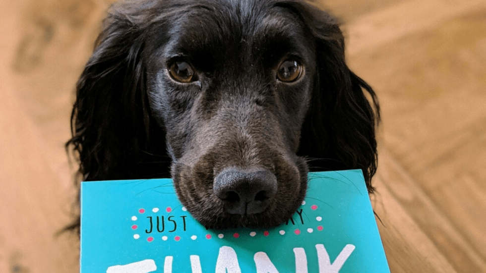 A Family Guided at the Moment They Needed It Most