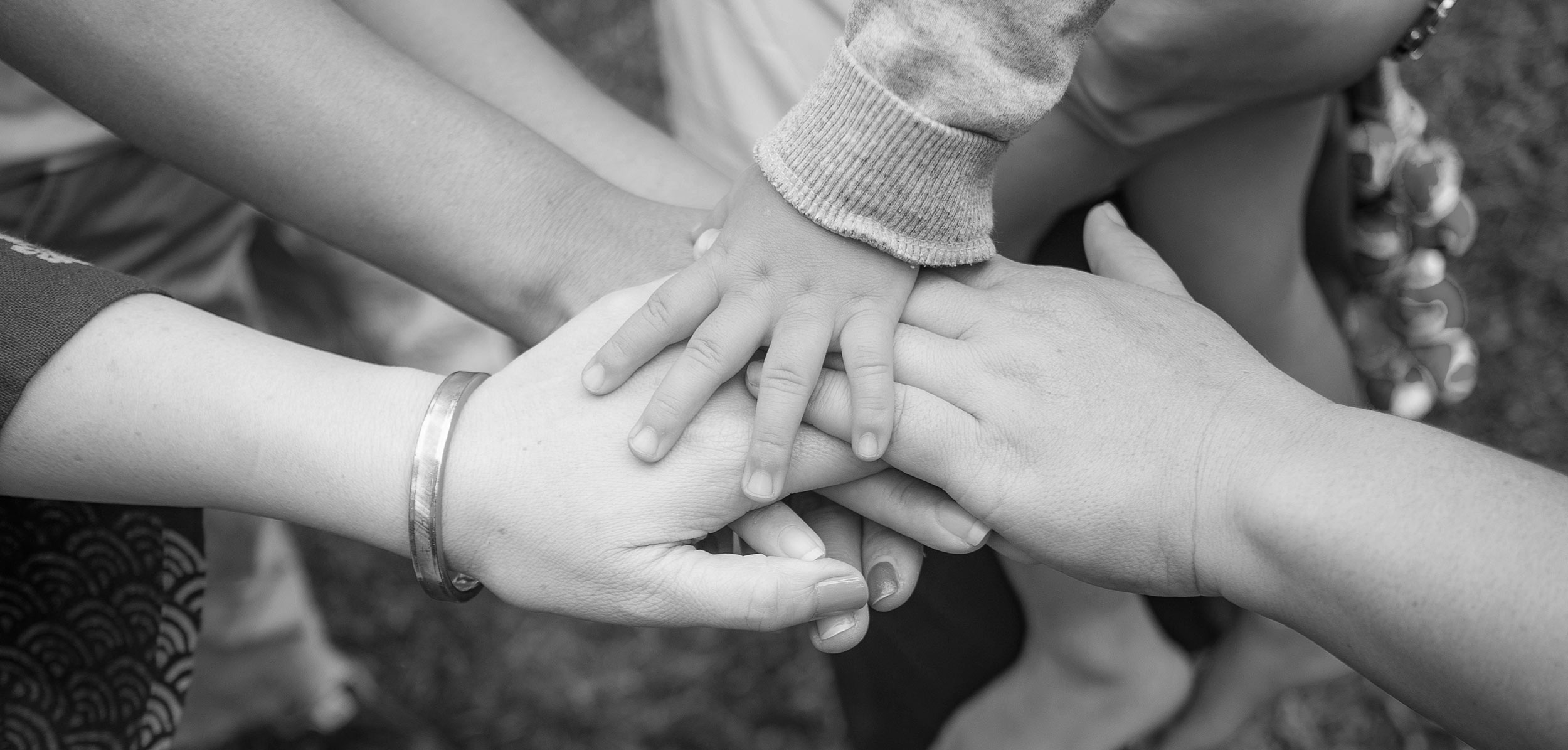 Laurelo WORKING IN PARTNERSHIP WITH LAURELO